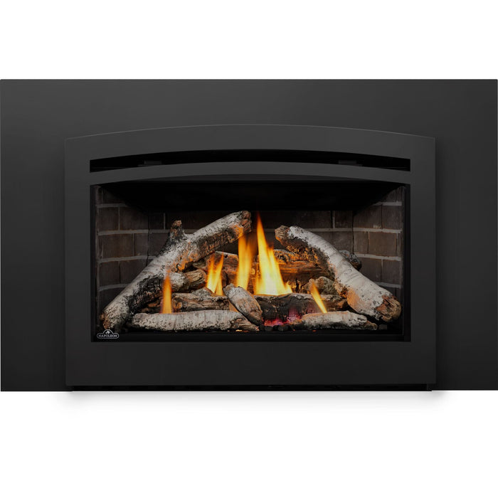 Napoleon Napoleon Rosedale 3 Gas Insert RD3N Fireplace Finished - Gas