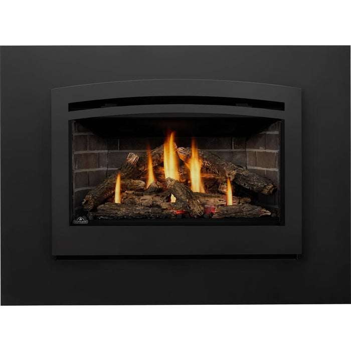 Napoleon Napoleon Rosedale 3 Gas Insert RD3N Fireplace Finished - Gas