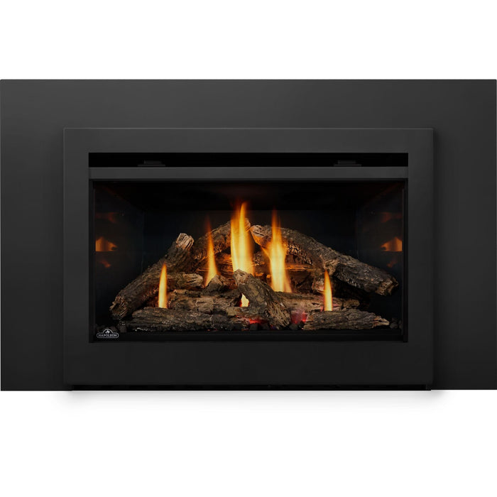 Napoleon Napoleon Rosedale 3 Gas Insert RD3N Fireplace Finished - Gas