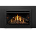 Napoleon Napoleon Rosedale 3 Gas Insert RD3N Fireplace Finished - Gas