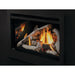 Napoleon Napoleon Rosedale 3 Gas Insert RD3N Fireplace Finished - Gas