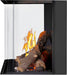 Napoleon Napoleon Tall Bay Luxuria 50 Gas Fireplace TLVX50LBN Fireplace Finished - Gas