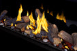 Napoleon Napoleon Tall Bay Luxuria 50 Gas Fireplace TLVX50LBN Fireplace Finished - Gas