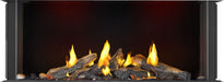 Napoleon Napoleon Tall Bay Luxuria 50 Gas Fireplace TLVX50LBN Fireplace Finished - Gas