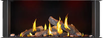 Napoleon Napoleon Tall Bay Luxuria 50 Gas Fireplace TLVX50LBN Fireplace Finished - Gas