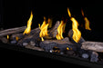 Napoleon Napoleon Tall Bay Luxuria 62 Gas Fireplace TLVX62LBN Fireplace Finished - Gas