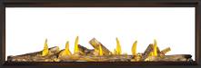 Napoleon Napoleon Tall Linear Vector 74 See Through Gas Fireplace TLV74N2 Fireplace Finished - Gas