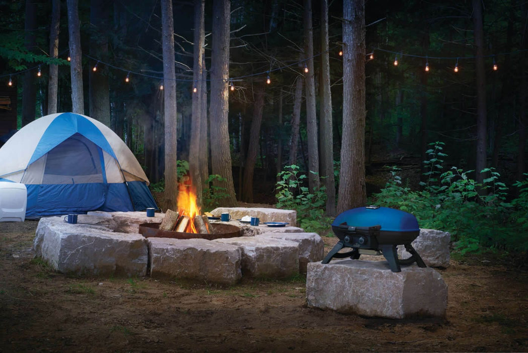 napoleon tent Napoleon TravelQ 285 Portable Gas Grill (Blue)