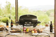 Napoleon Napoleon TravelQ PRO285 Portable Grill Barbecue Finished - Gas