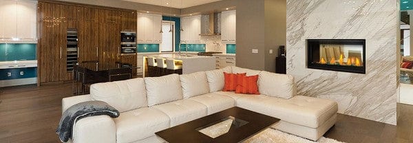 Napoleon Napoleon Vector 38 See-Thru Direct-Vent Gas Fireplace LV38N2-1 Fireplace Finished - Gas