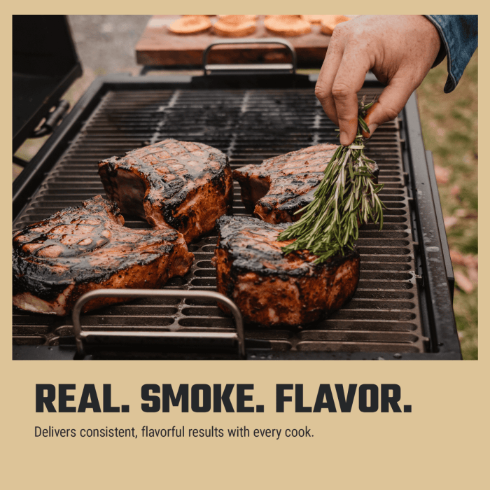 Oklahoma Joe Oklahoma Joe Mesquite Wood Chunks (432 cu. in. bag) - OJ2250269 OJ2250269 Barbecue Accessories 047362502698