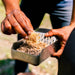 Ooni Ooni Premium Natural Firestarters - UU-P08500 UU-P08500 Barbecue Accessories 5060568341736