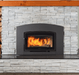 Regency Regency Alterra Pro i3000 Wood Fireplace Insert (Classic / Arched) I3000A Fireplace Finished - Wood