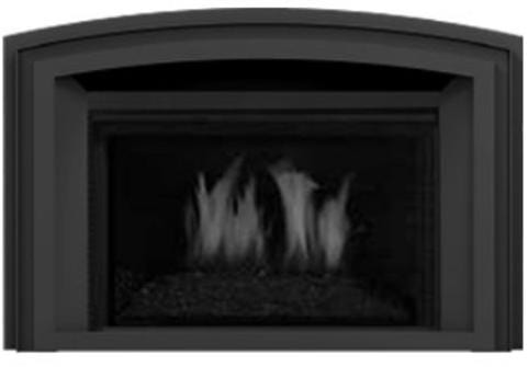 Regency Regency Arched Vignette Series Faceplate (LRI4E) Standard Black 399-843 Fireplace Accessories