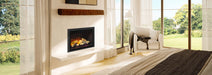 Regency Regency Atmosphere Ei25 Electric Fireplace Insert EI25 Fireplace Finished - Electric