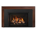 Regency Regency Atmosphere GI27LE Gas Fireplace Insert GI27LE-NG Fireplace Finished - Gas