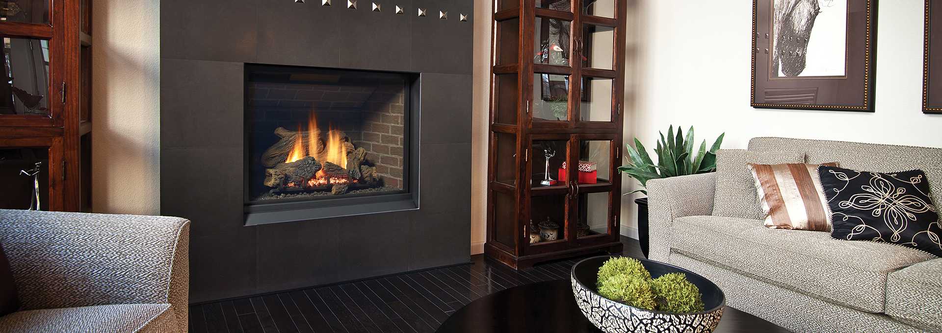 Regency Regency Bellavista B41XTCE Gas Fireplace Fireplace Finished - Gas