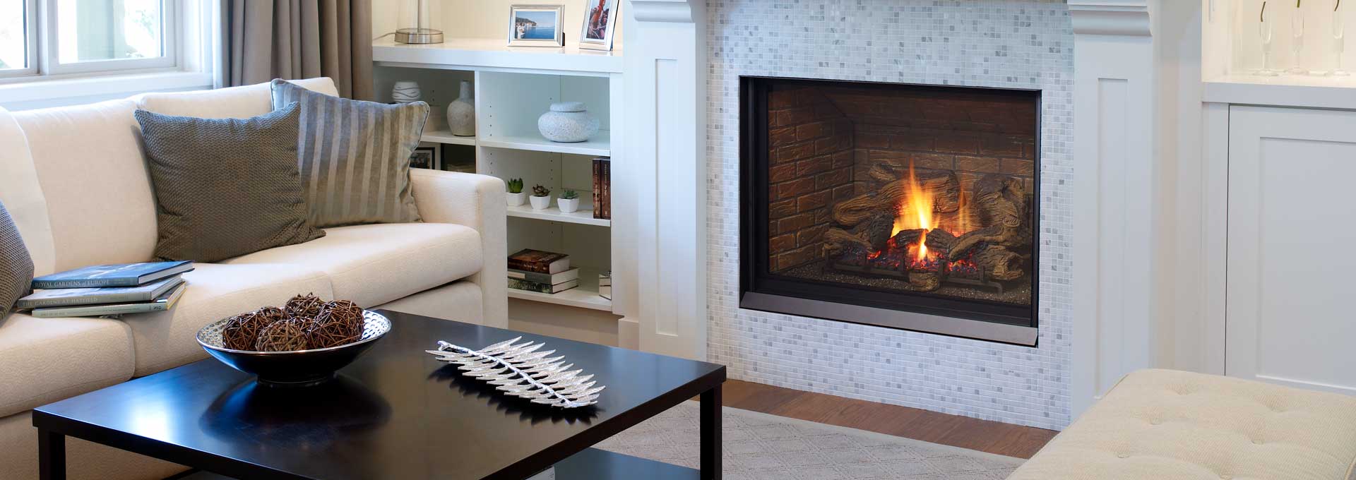 Regency Regency Bellavista B41XTCE Gas Fireplace Fireplace Finished - Gas