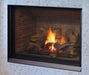Regency Regency Bellavista B41XTCE Gas Fireplace Propane B41XTCE-LP11 Fireplace Finished - Gas