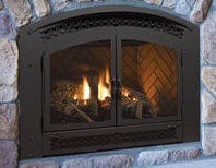 Regency Regency Black Double Door (Excalibur P90E) - 792-950 792-950 Fireplace Finished - Gas