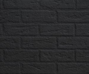 Regency Regency Brick Standard Design - Volcanic Black (G1200P) - 796-905 796-905 Fireplace Accessories