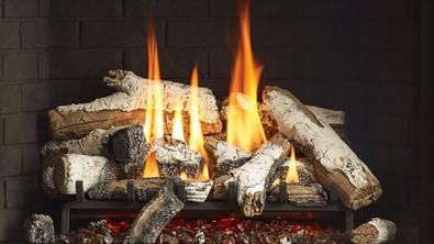 Regency Regency Ceramic Log Set (Grandview G800EC) Birch 761-932 Fireplace Accessories