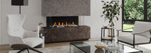 Regency Regency City Series - San Francisco Bay 50 Gas Fireplace CB50E-NG Fireplace Finished - Gas