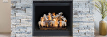 Regency Regency GL24V Vented Gas Logs V24E3-NG Fireplace Accessories