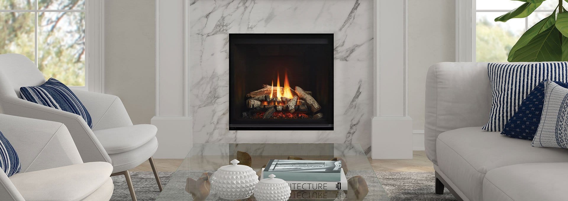 Regency Regency Grandview G600EC Gas Fireplace (Electronic Ignition) G600EC-NG Fireplace Finished - Gas