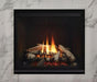 Regency Regency Grandview G600EC Gas Fireplace (Electronic Ignition) G600EC-NG Fireplace Finished - Gas