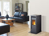 Regency Regency Greenfire GF40 Modern Pellet Stove GF40-2 Fireplace Finished - Wood
