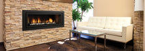 Regency Regency Horizon HZ54E Gas Fireplace Fireplace Finished - Gas