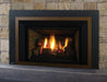 Regency Regency Liberty LRI4E Gas Insert LRI4E-NG11 Fireplace Finished - Gas