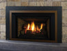 Regency Regency Liberty LRI4E Gas Insert LRI4E-NG11 Fireplace Finished - Gas
