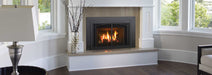 Regency Regency Liberty LRI4E Gas Insert LRI4E-NG11 Fireplace Finished - Gas