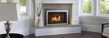 Regency Regency Liberty LRI4E Gas Insert LRI4E-NG11 Fireplace Finished - Gas