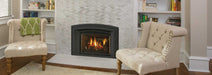 Regency Regency Liberty LRI4E Gas Insert LRI4E-NG11 Fireplace Finished - Gas