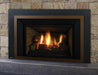 Regency Regency Liberty LRI4E Gas Insert LRI4E-NG11 Fireplace Finished - Gas