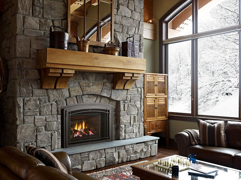 Regency Regency Liberty LRI6E Gas Insert (C&H Package Special!) LRI6EKIT Fireplace Finished - Gas