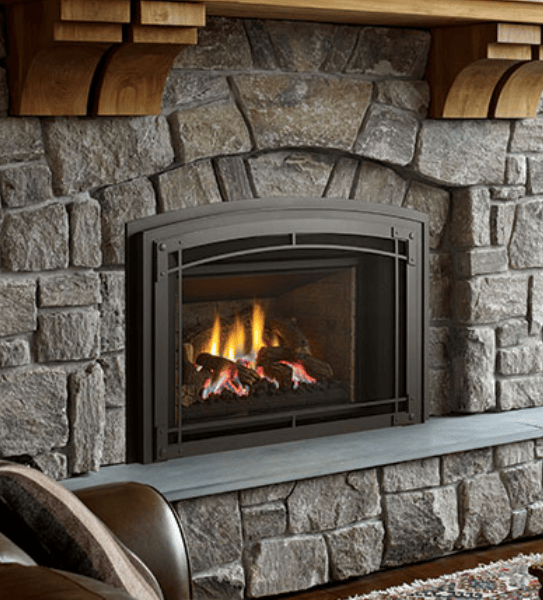 Regency Regency Liberty LRI6E Gas Insert (C&H Package Special!) LRI6EKIT Fireplace Finished - Gas