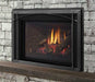 Regency Regency Liberty LRI6E Gas Insert LRI6E-NG11 Fireplace Finished - Gas
