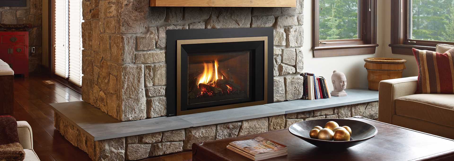 Regency Regency Liberty LRI6E Gas Insert LRI6E-NG11 Fireplace Finished - Gas