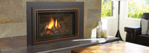 Regency Regency Liberty LRI6E Gas Insert LRI6E-NG11 Fireplace Finished - Gas