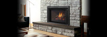 Regency Regency Liberty LRI6E Gas Insert LRI6E-NG11 Fireplace Finished - Gas