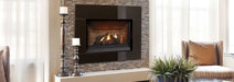 Regency Regency Panorama P33CE Gas Fireplace P33CE-NG11 Fireplace Finished - Gas