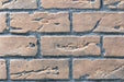 Regency Regency Rustic Brown Standard Brick Panels (Excalibur P90E) - 790-901 790-901 Fireplace Accessories
