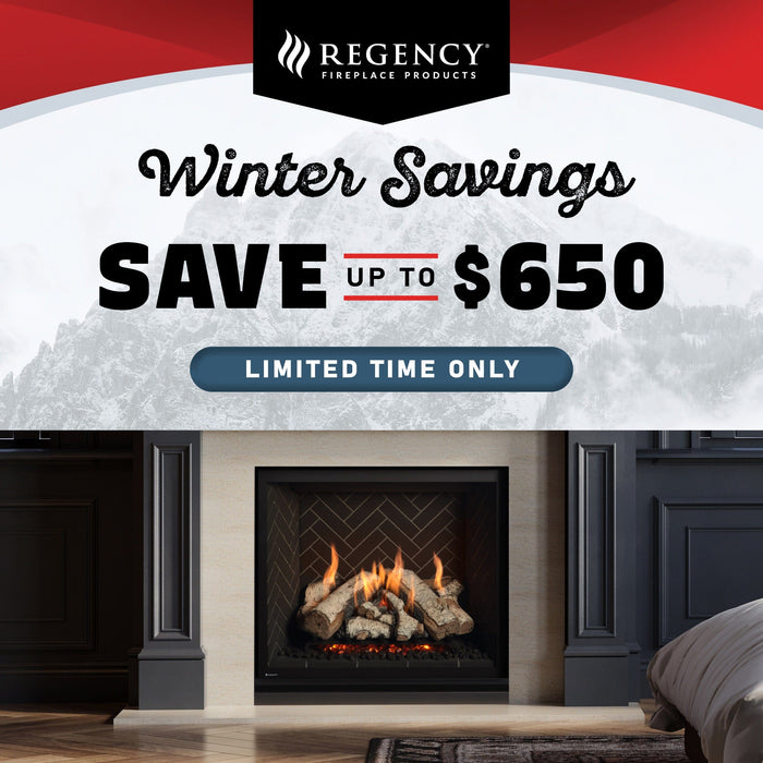 Regency Regency Winter Free Accessory Promo (Read Description for Details) REGENCY-PROMO Fireplace Accessories