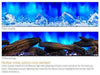 Simplifire Simplifire 55" Scion Clean Face Electric Fireplace SF-SC55-BK Fireplace Finished - Electric