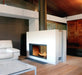 Stuv America Inc. Stûv 21 Wood-Burning Fireplace (21.2-125 Double Face) 10210705 Fireplace Finished - Wood