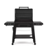 Traeger Canada Traeger Irontop 2-Burner Griddle TF2NN50DNC Barbecue Finished - Griddle